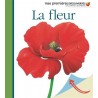 Mes premières découvertes - La fleur