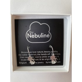 Boucles d'oreilles...