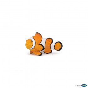 Poisson clown - L'univers...