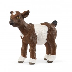 Chevreau (blanc, brun) -...