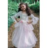 Robe de princesse rose pâle et dorée, 5-6 ans