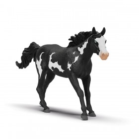 Hongre Paint Horse - Horse...