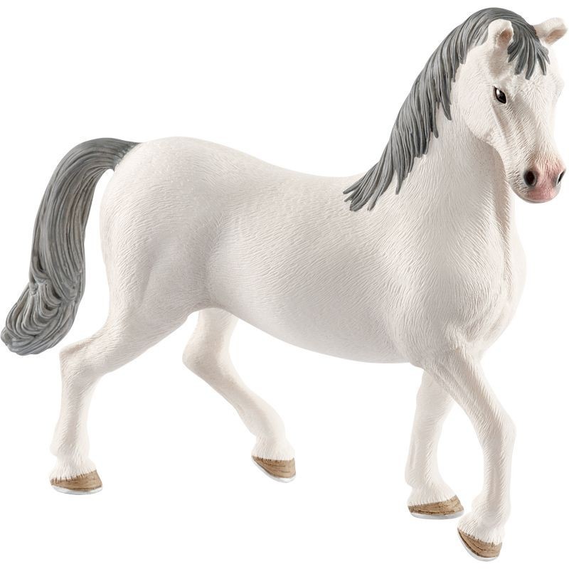 Etalon Lippizan - Horse club Etalon Lippizan - Horse club