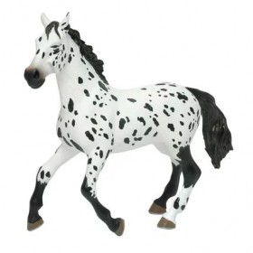 Grand cheval Appaloosa