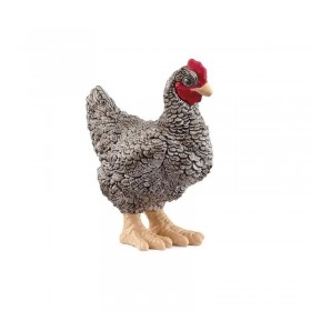 Poule Plymouth Rock - Farm...