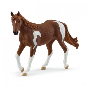 Jument Paint horse (brun,...