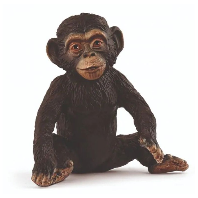 Jeune chimpanzé - Wild Life Jeune chimpanzé - Wild Life