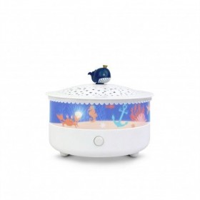 Veilleuse et projecteur...