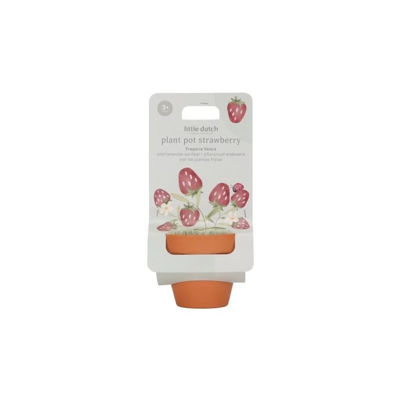 Little Dutch - Kit de plantation Fraise