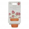 Little Dutch - Kit de plantation Fraise