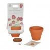 Little Dutch - Kit de plantation Fraise