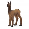 Bébé Lama - Farm World