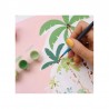 Coffret peinture au numéro - Petit Pinceau - Bora Bora par Tania Garcia