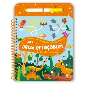 Mes jeux effaçables : Les...