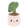 Peluche plante - Calathea