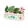 Peluche plante - Calathea