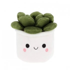 Peluche plante - Succulente