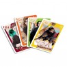 Jeu de familles 4 en 1 Harry Potter