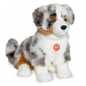 Berger australien - 30 cm