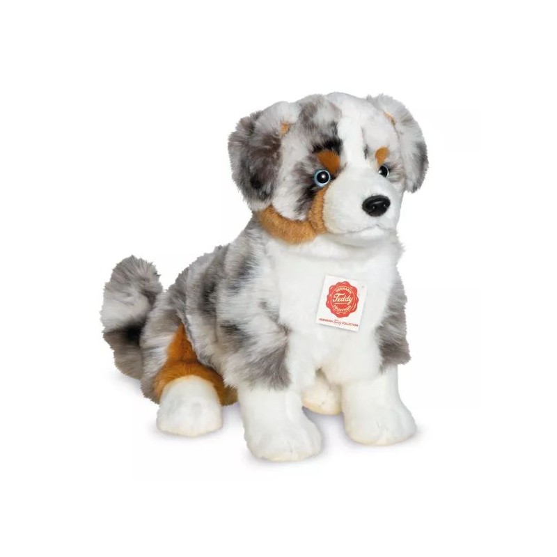 Berger australien - 30 cm Berger australien - 30 cm