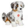 Berger australien - 30 cm