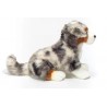 Berger australien - 30 cm