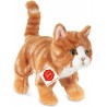 Chat roux - 20 cm