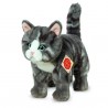 Chat tigré gris - 20 cm
