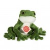 Grenouille - 15 cm