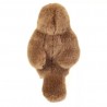 Rouge- gorge - 15 cm