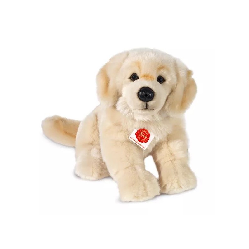 Golden retriever - 30 cm Golden retriever - 30 cm