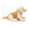 Golden retriever - 30 cm