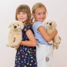 Golden retriever - 30 cm