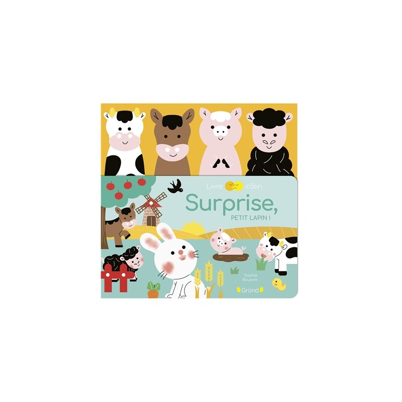 Surprise, petit lapin ! Surprise, petit lapin !