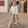 Little Dutch - Tricycle 4 en 1 Vert
