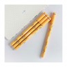 Stylo effaçable avec capuchon - Shiba