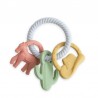Anneau de dentition - Western