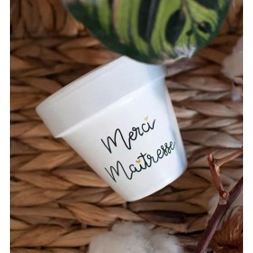 Cache-pot en terre cuite -...