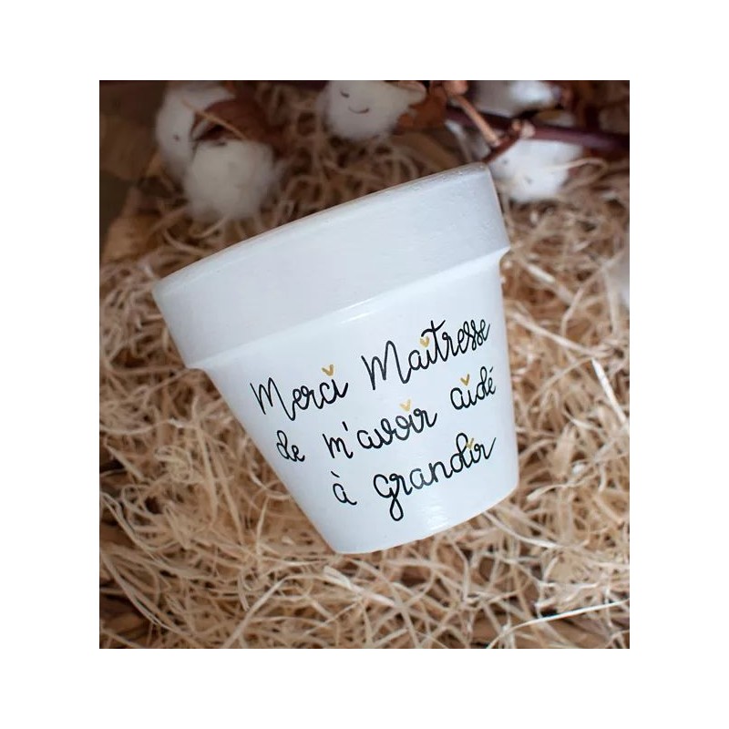Cache-pot en terre cuite - Merci Maîtresse de m'avoir aidé à grandir Cache-pot en terre cuite - Merci Maîtresse de m'avoir aidé à grandir
