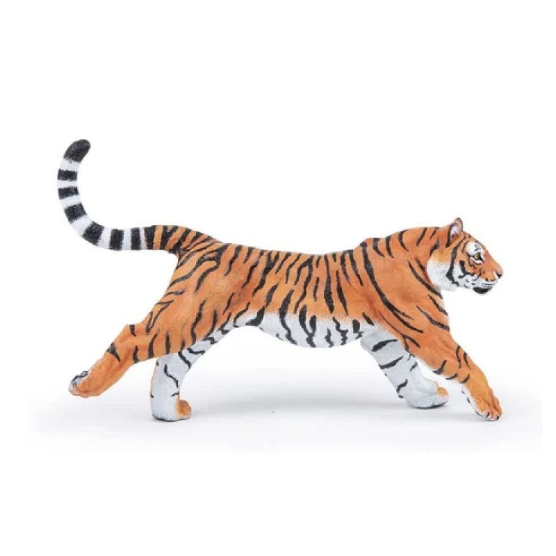 Tigre courant - La vie sauvage Tigre courant - La vie sauvage