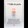 Carte Câlin de Poche - Labubu rose (salopette bleue)