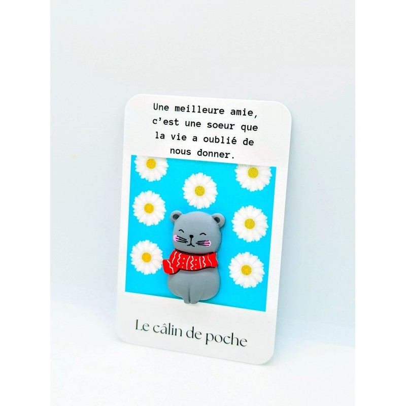 Carte Câlin de poche citation meilleure amie - Chat Carte Câlin de poche citation meilleure amie - Chat