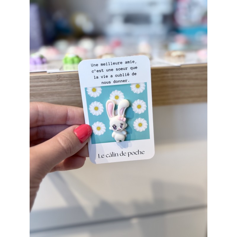 Carte Câlin de poche citation meilleure amie - Lapin Carte Câlin de poche citation meilleure amie - Lapin