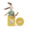 Poupée lapin sauge avec boite - Trois petits lapins