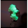 Pack de 4 formes squishy - Playfoam Glow in the dark