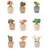 Doudou Botanique - Peluche plante verte