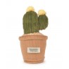 Doudou Botanique - Peluche cactus vert