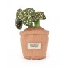 Doudou Botanique - Peluche plante Pois jaune