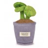 Doudou Botanique - Peluche plante verte pot violet