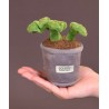 Doudou Botanique - Peluche plante verte pot violet